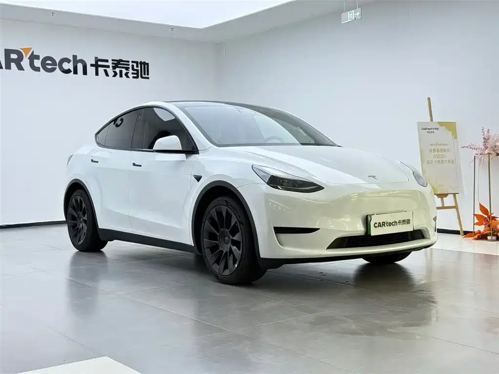 Tesla Model Y — фото 2