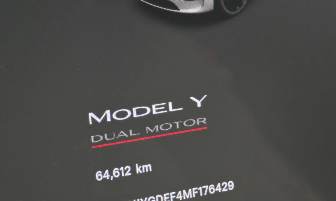 Tesla Model Y — фото 2