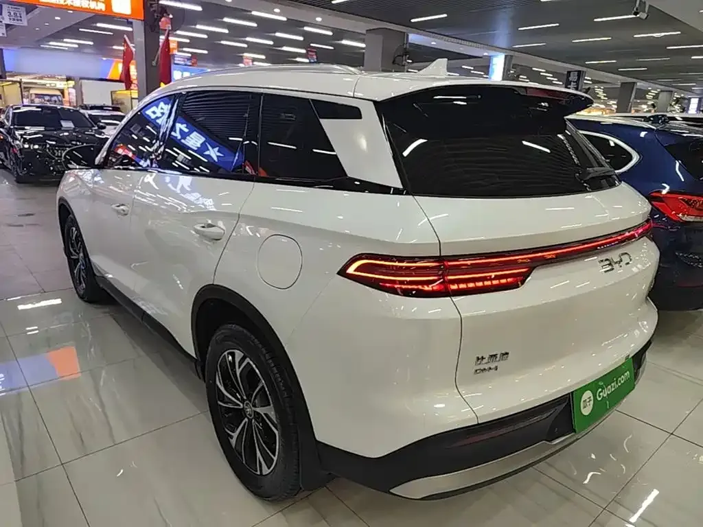 BYD Pro New Energy — фото 4