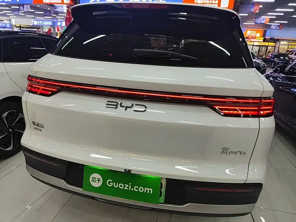 BYD Pro New Energy — фото 9