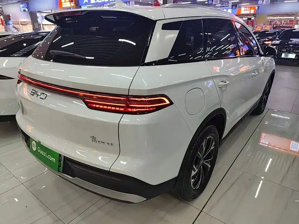 BYD Pro New Energy — фото 6