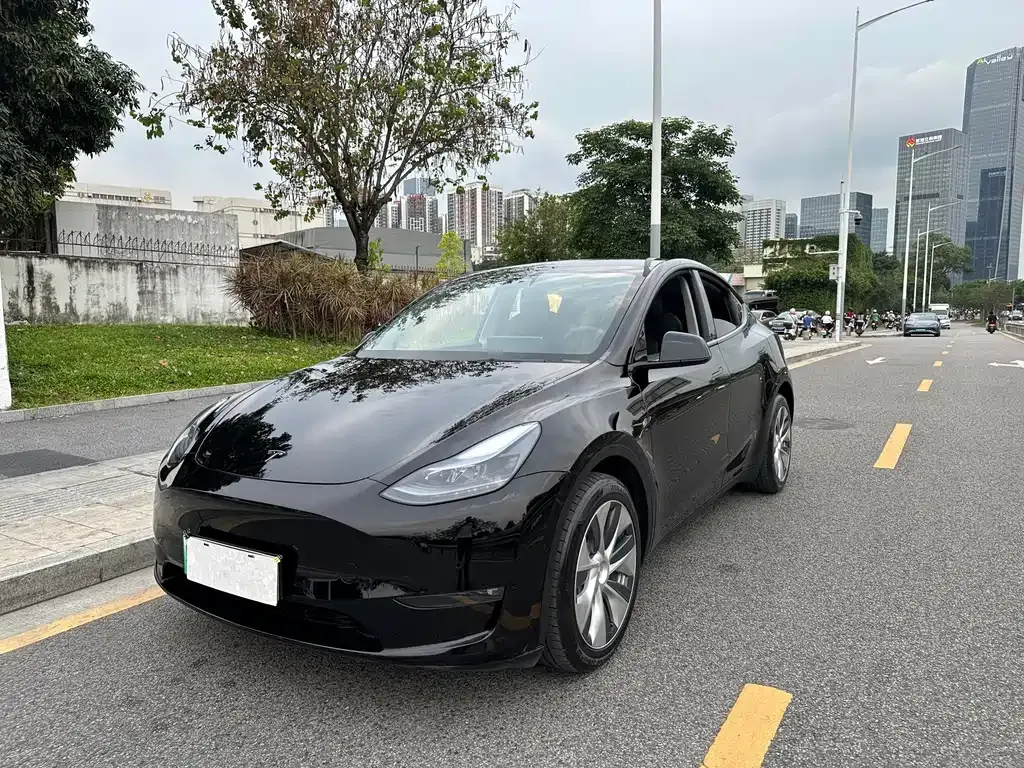 Tesla Model Y — фото 1