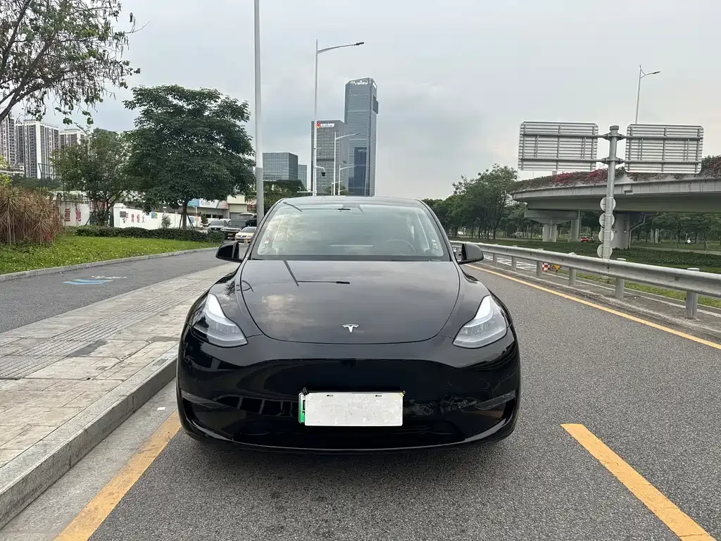 Tesla Model Y — фото 8
