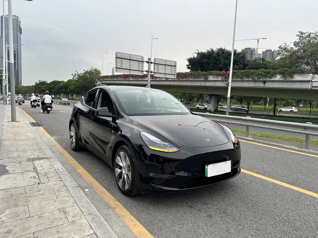 Tesla Model Y — фото 6