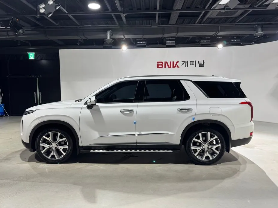 Hyundai Palisade — фото 8