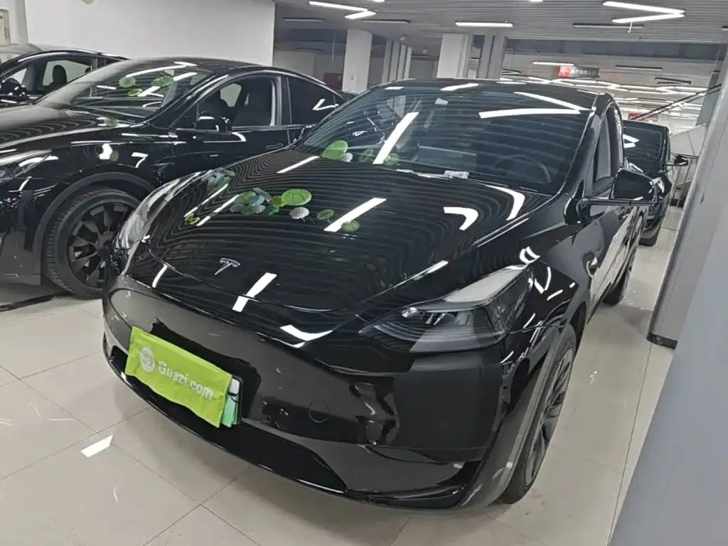 Tesla Model Y — фото 1