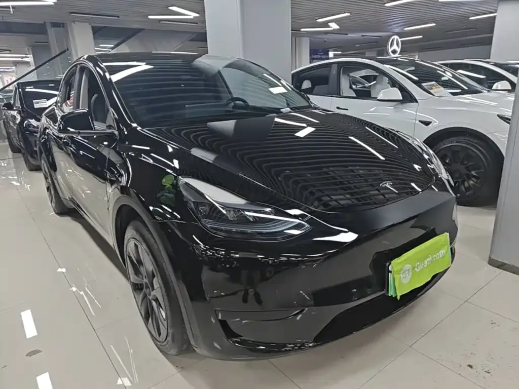 Tesla Model Y — фото 10