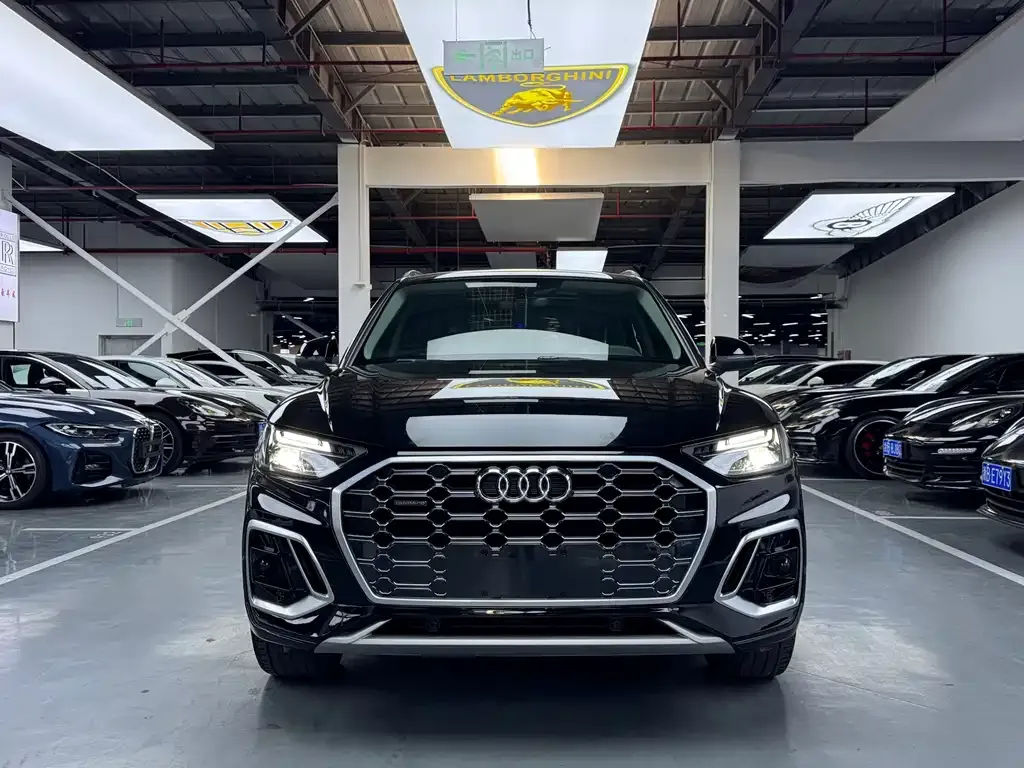Audi Q5L — фото 9