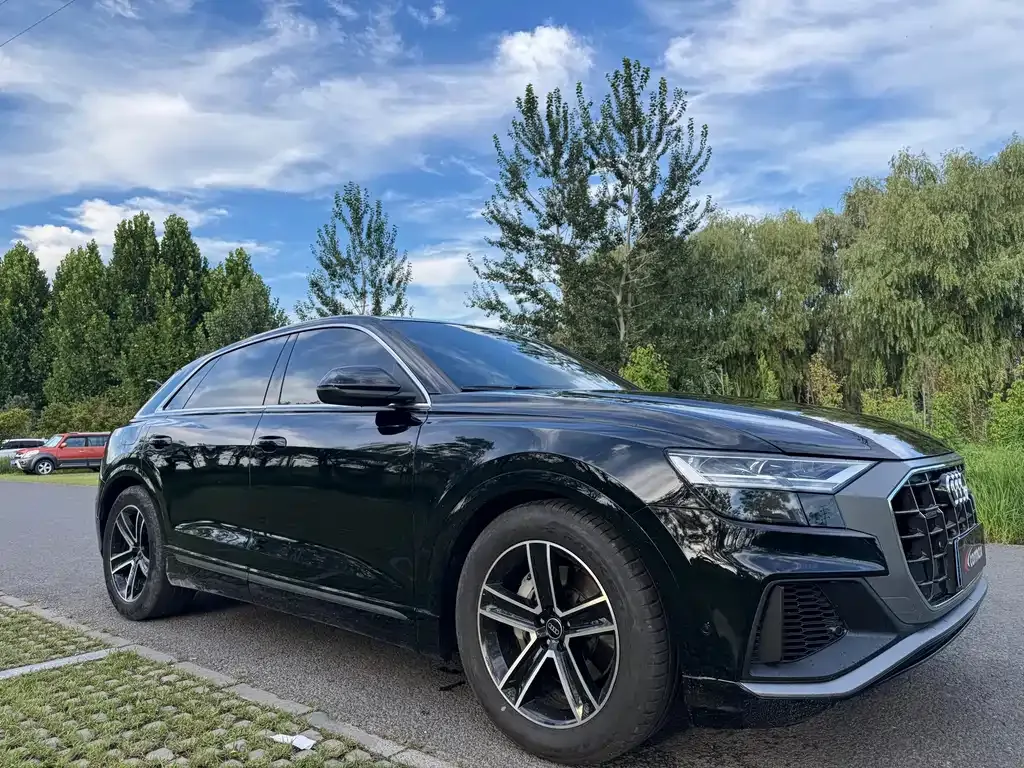Audi Q8 — фото 9