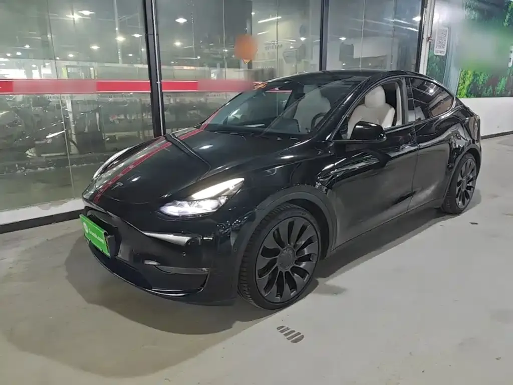 Tesla Model Y — фото 1