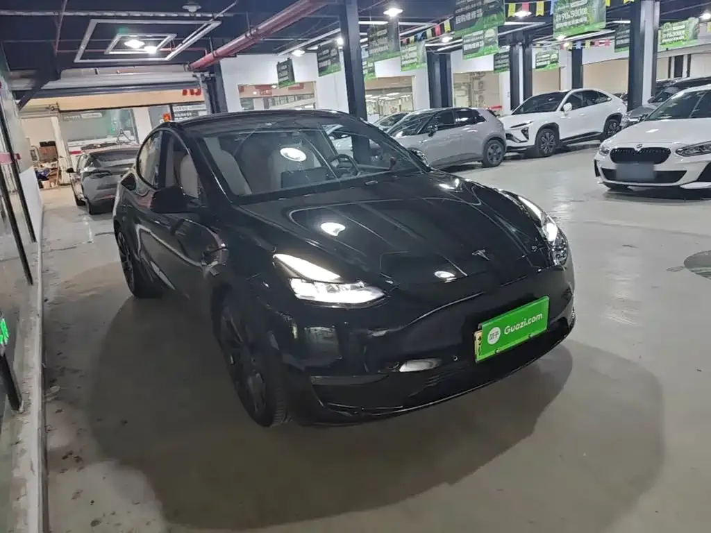 Tesla Model Y — фото 10