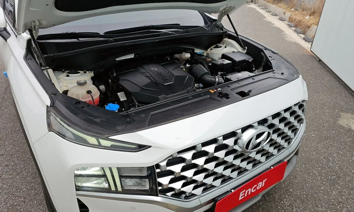 Hyundai Santafe — фото 10