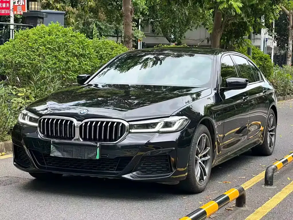 BMW 5 Series New Energy — фото 1