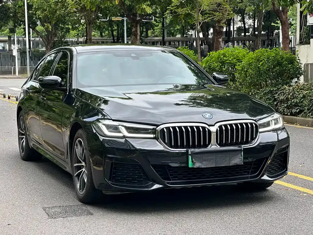 BMW 5 Series New Energy — фото 3