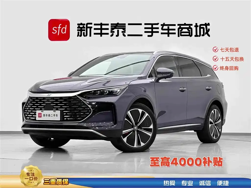 BYD Tang New Energy — фото 1