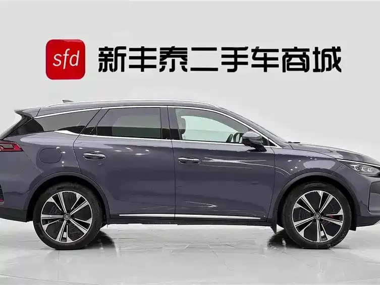 BYD Tang New Energy — фото 2