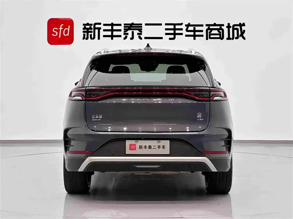 BYD Tang New Energy — фото 3