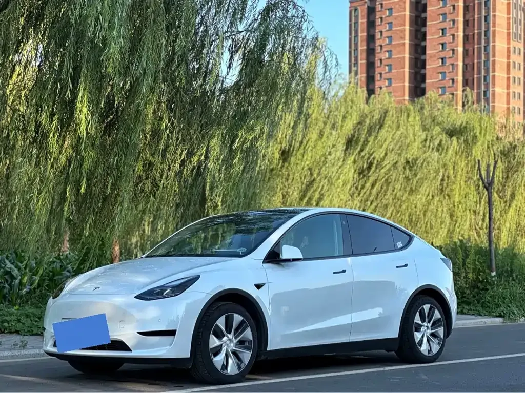Tesla Model Y — фото 1