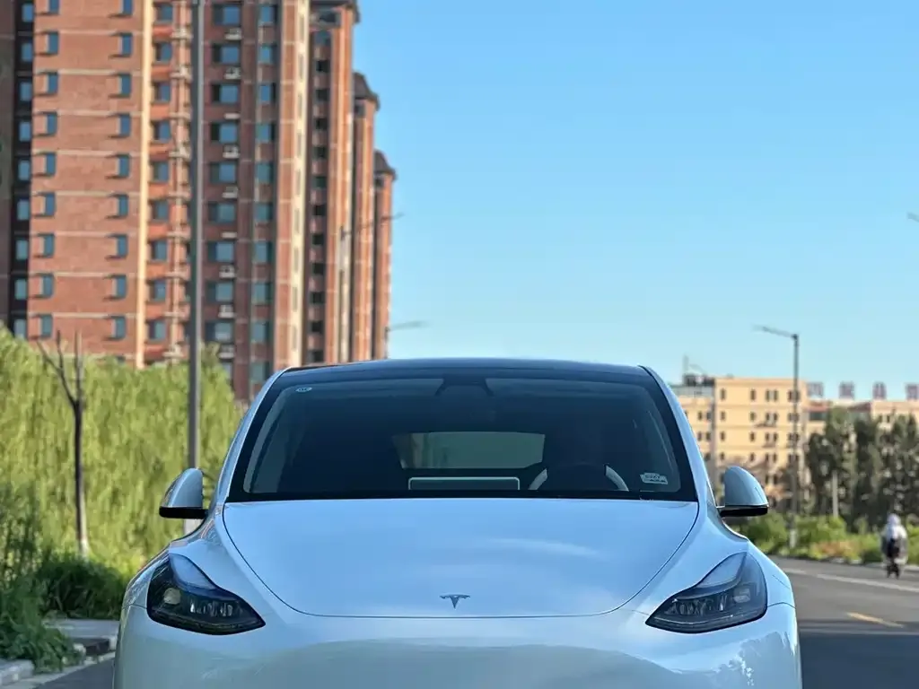 Tesla Model Y — фото 6