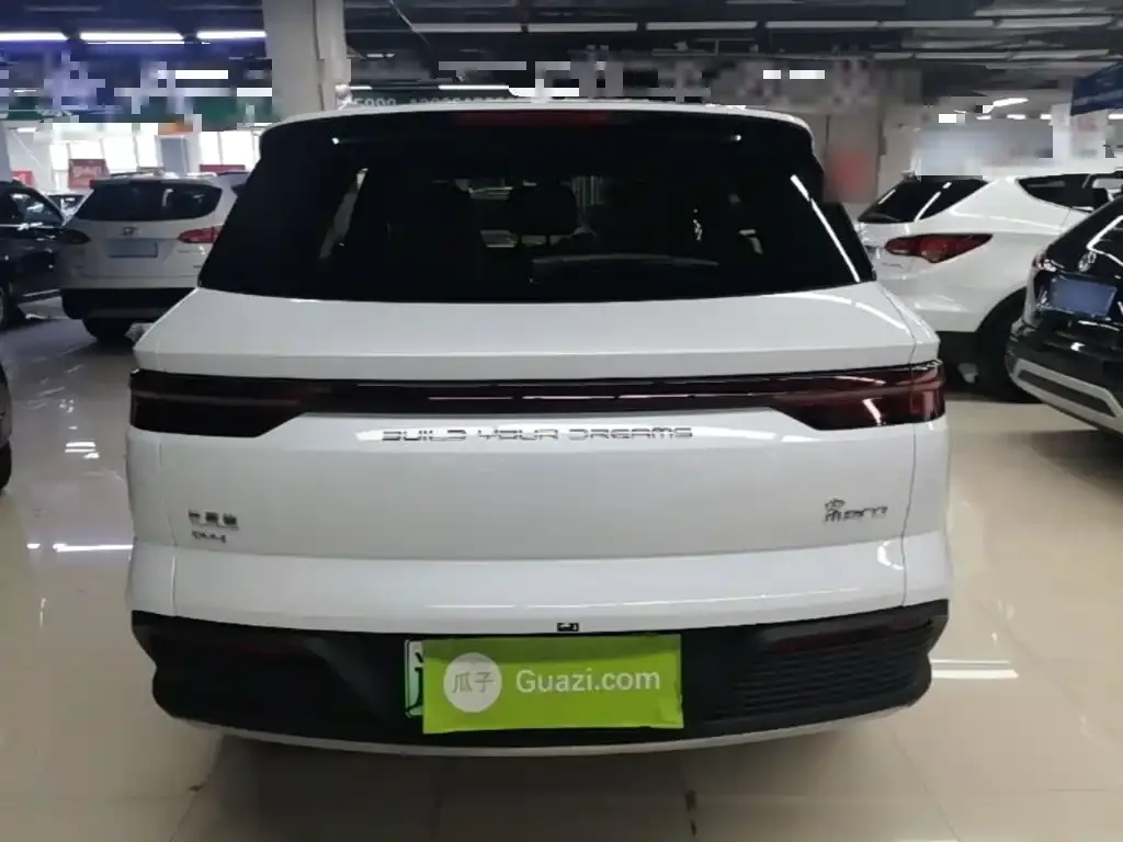 BYD Pro New Energy — фото 8