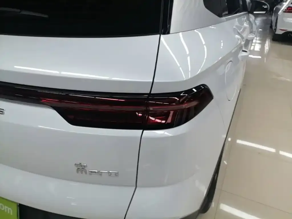 BYD Pro New Energy — фото 2