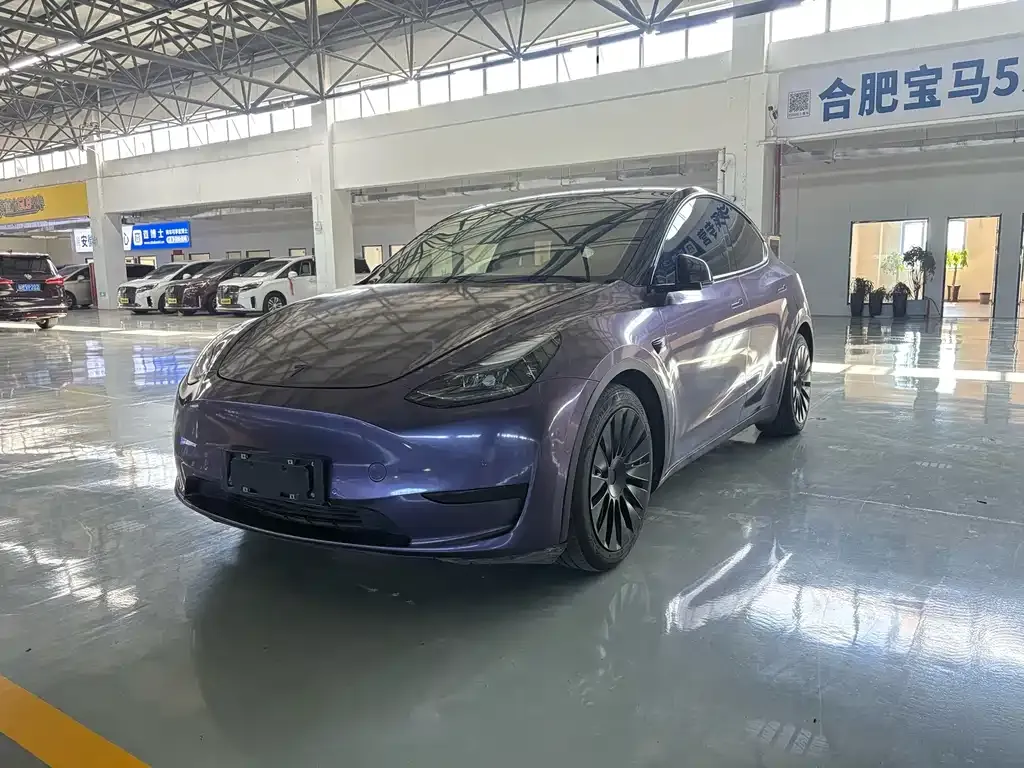 Tesla Model Y — фото 1