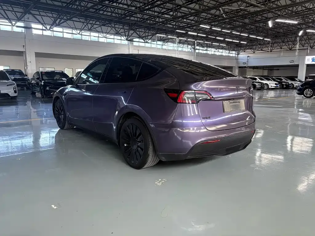 Tesla Model Y — фото 2