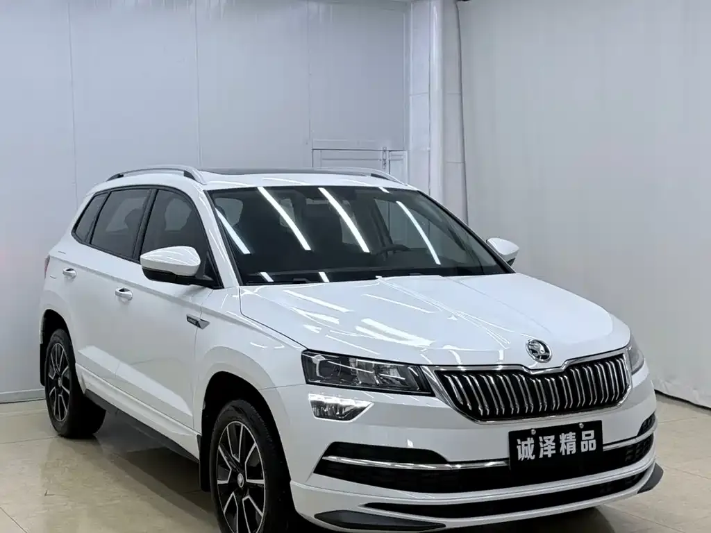 Skoda Karoq — фото 3