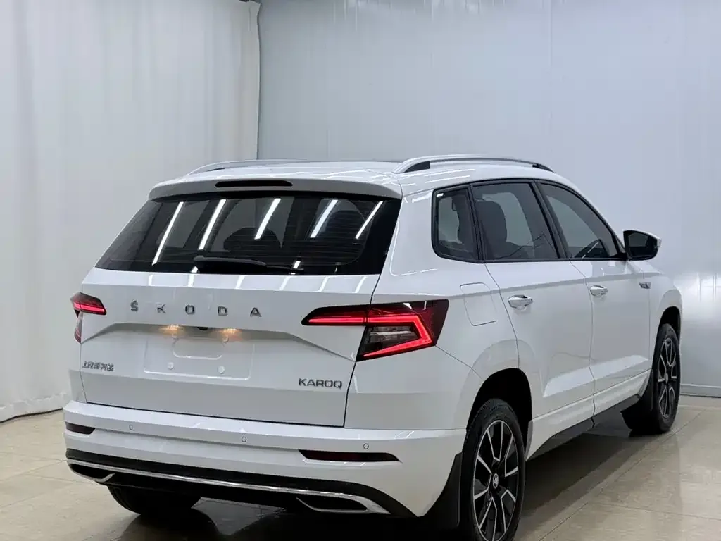 Skoda Karoq — фото 6