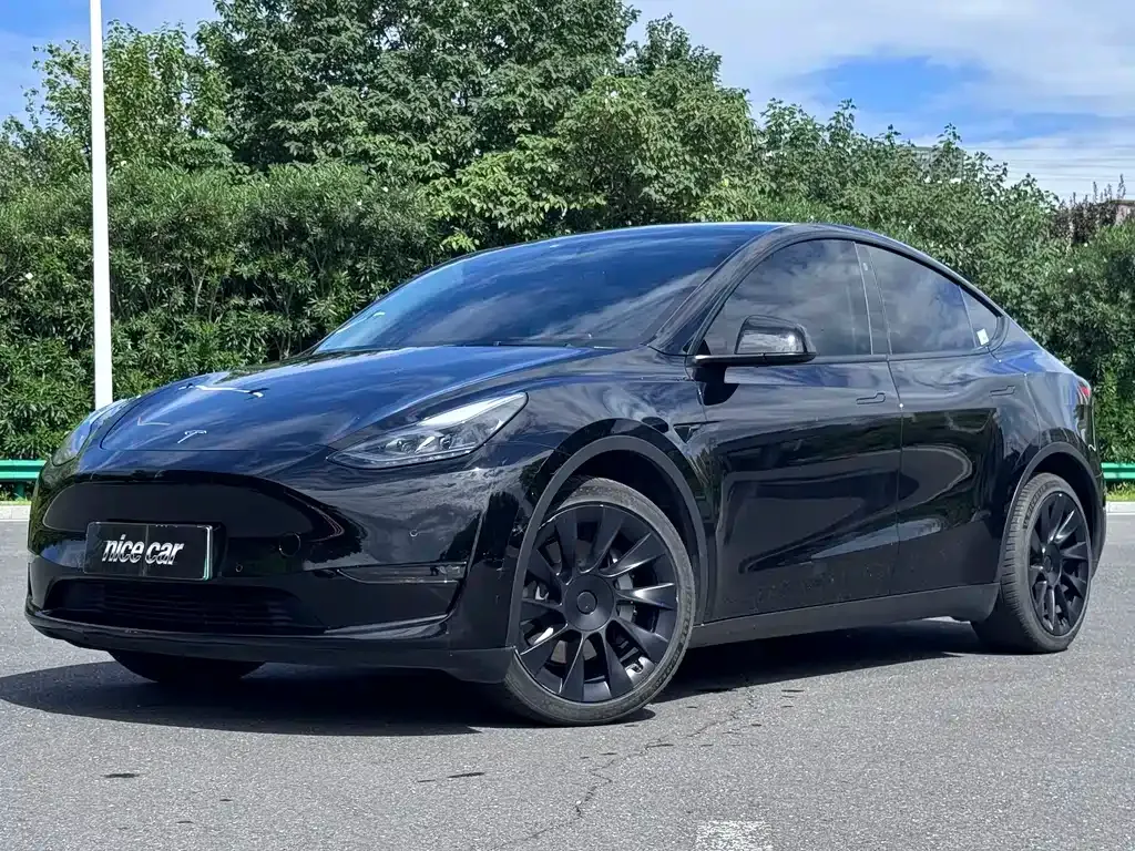 Tesla Model Y — фото 1