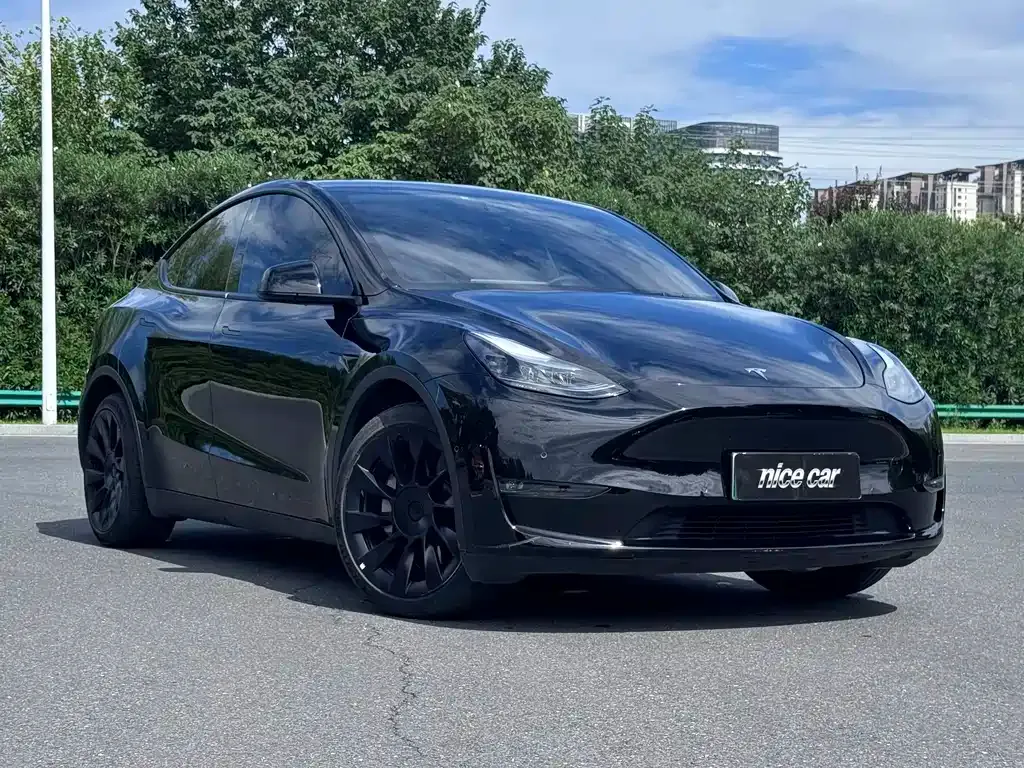 Tesla Model Y — фото 10