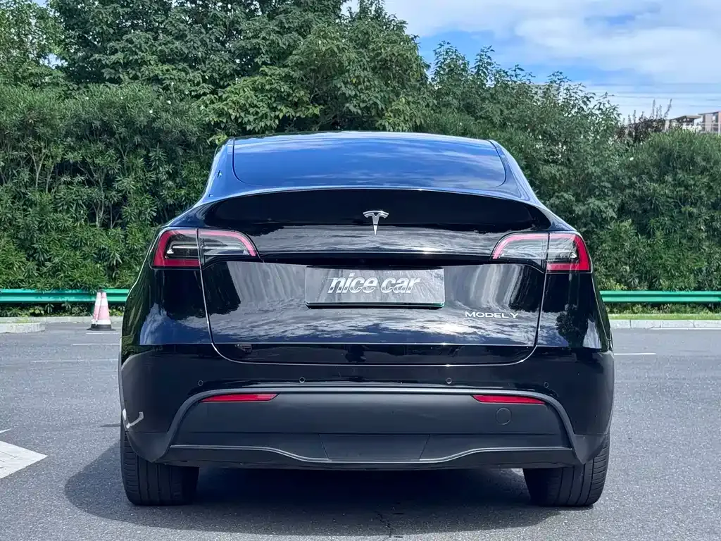 Tesla Model Y — фото 8