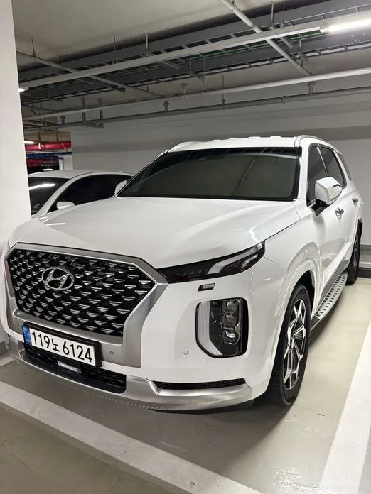 Hyundai Palisade — фото 1
