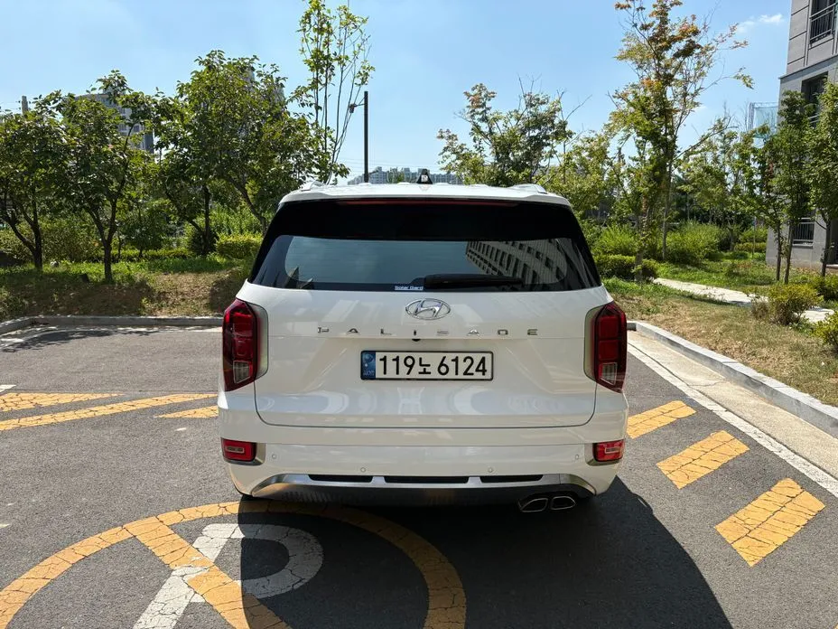 Hyundai Palisade — фото 10