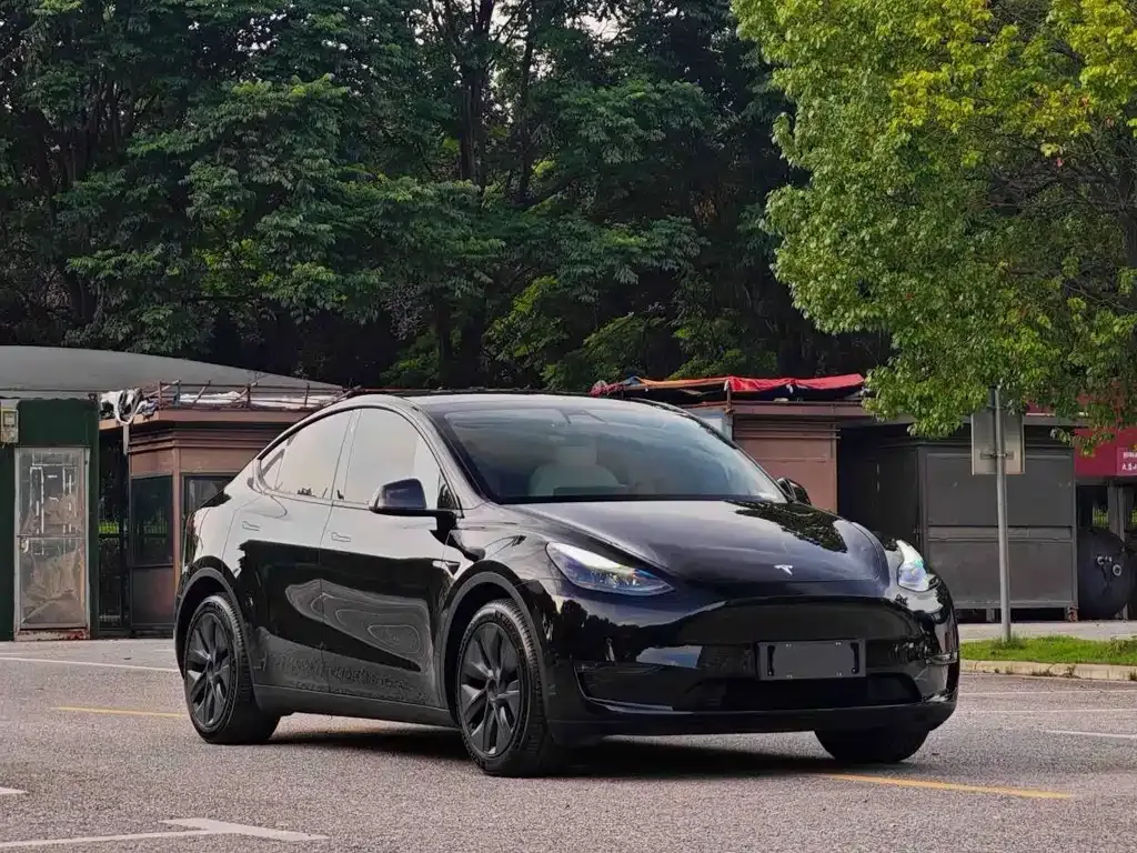 Tesla Model Y — фото 6