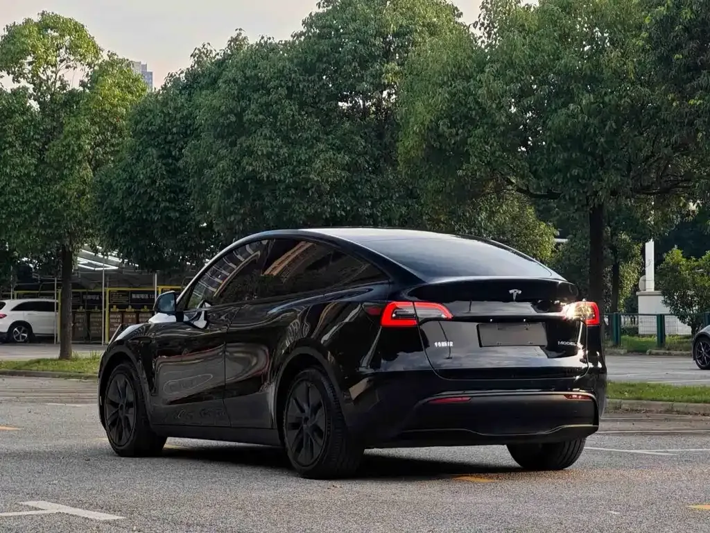 Tesla Model Y — фото 5
