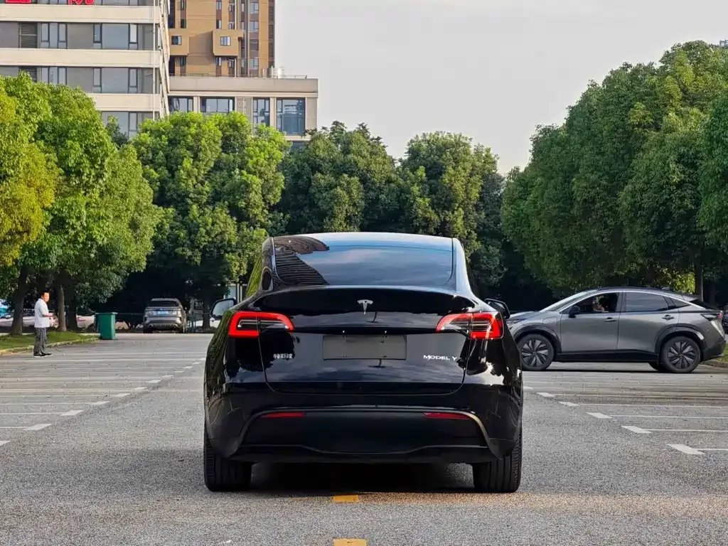 Tesla Model Y — фото 3