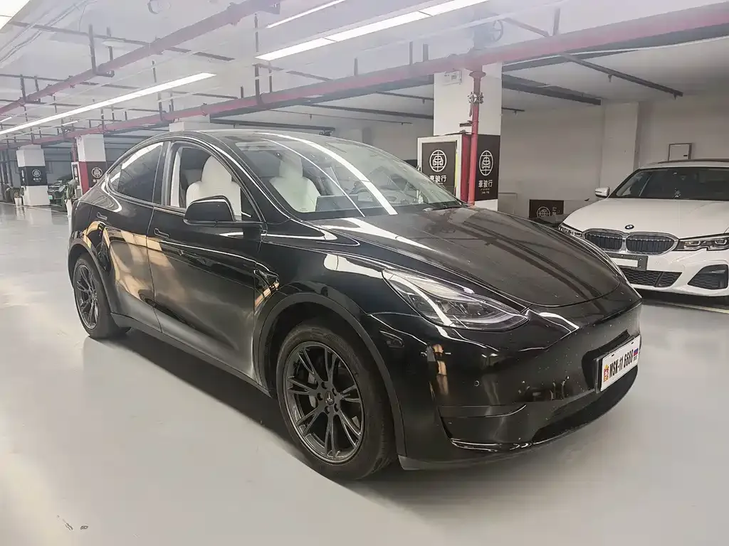 Tesla Model Y — фото 4