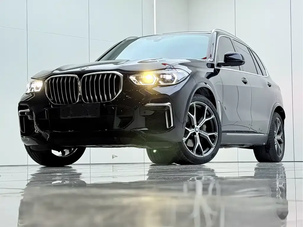 BMW X5 — фото 9