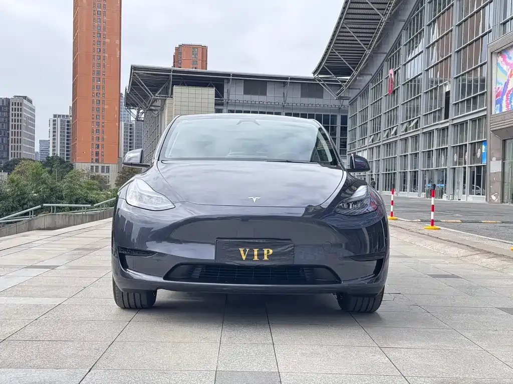 Tesla Model Y — фото 9
