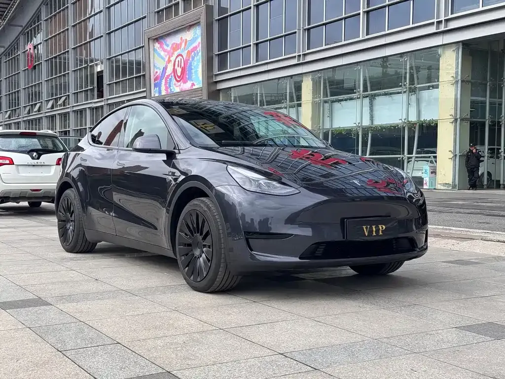 Tesla Model Y — фото 10