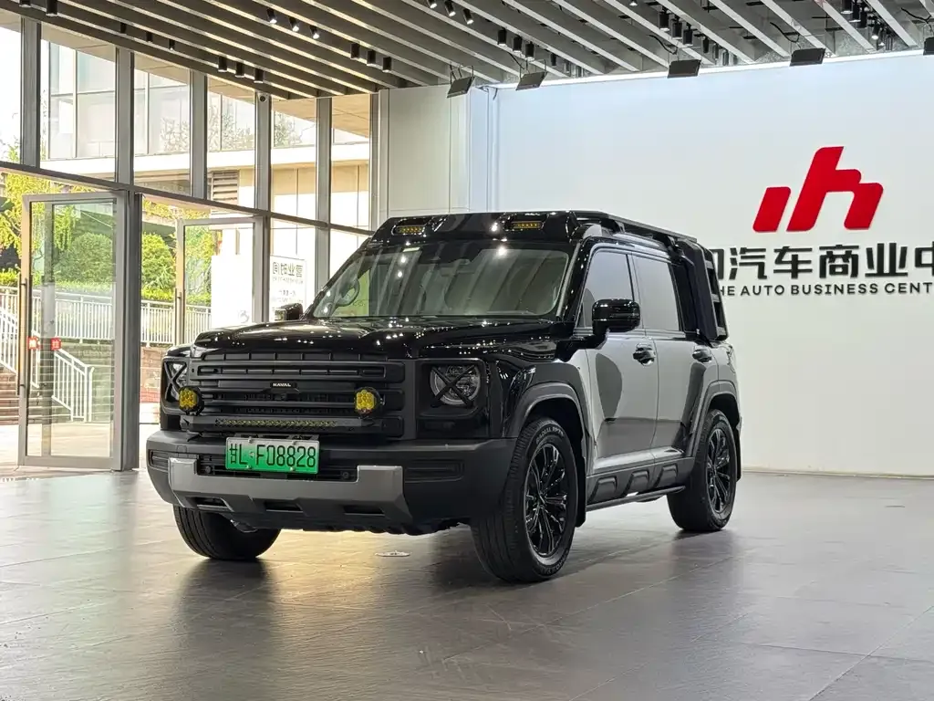 Haval Menglong New Energy — фото 1