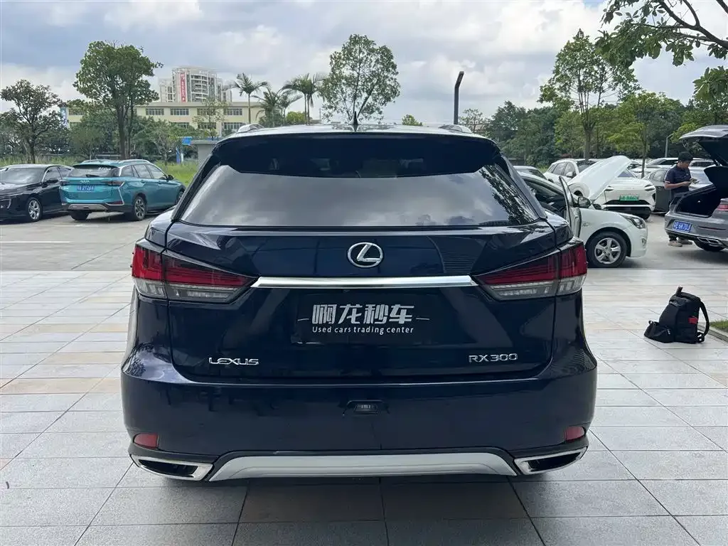Lexus RX — фото 6