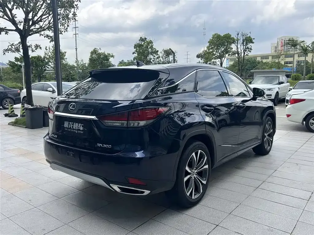 Lexus RX — фото 8