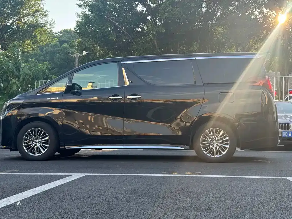 Toyota Alphard — фото 10