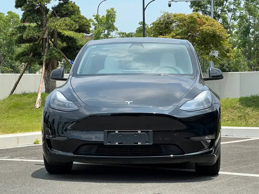 Tesla Model Y — фото 5