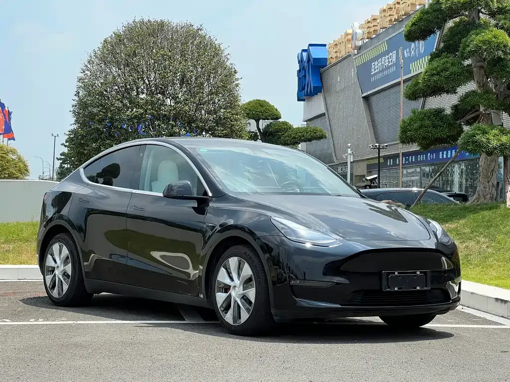 Tesla Model Y — фото 9