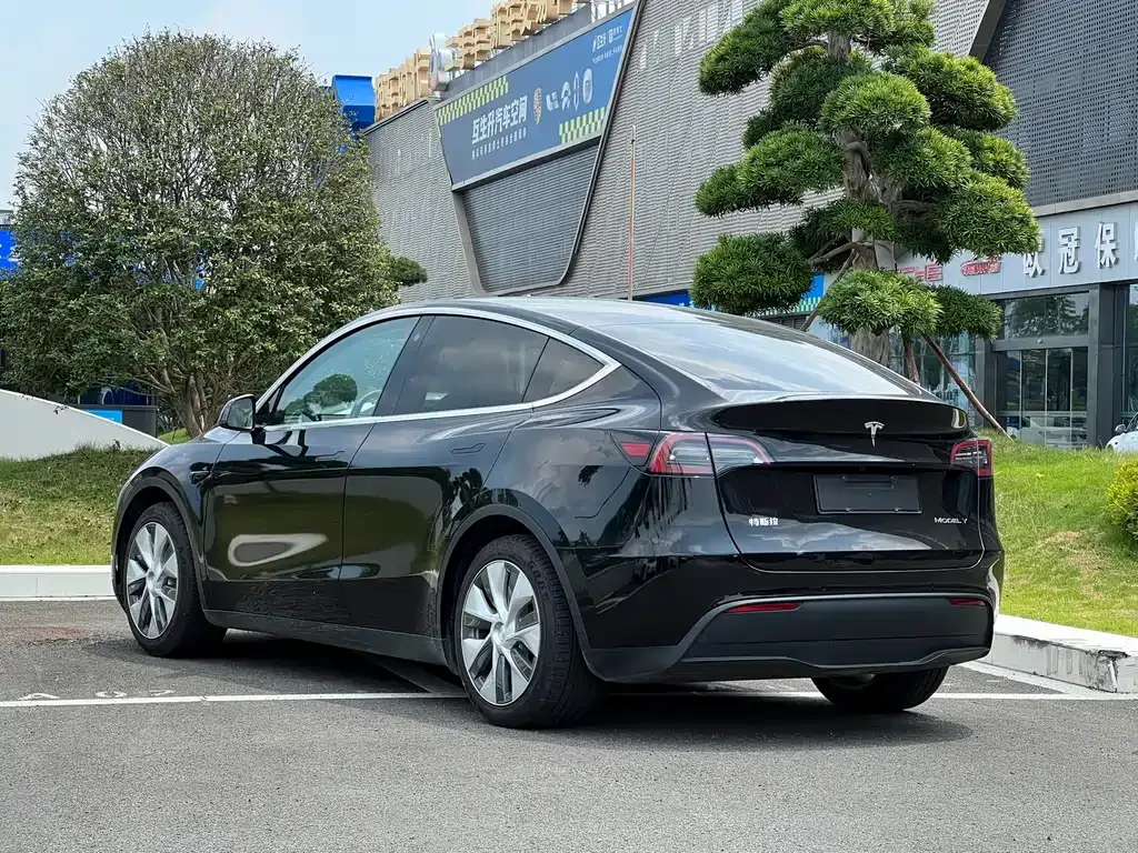 Tesla Model Y — фото 6
