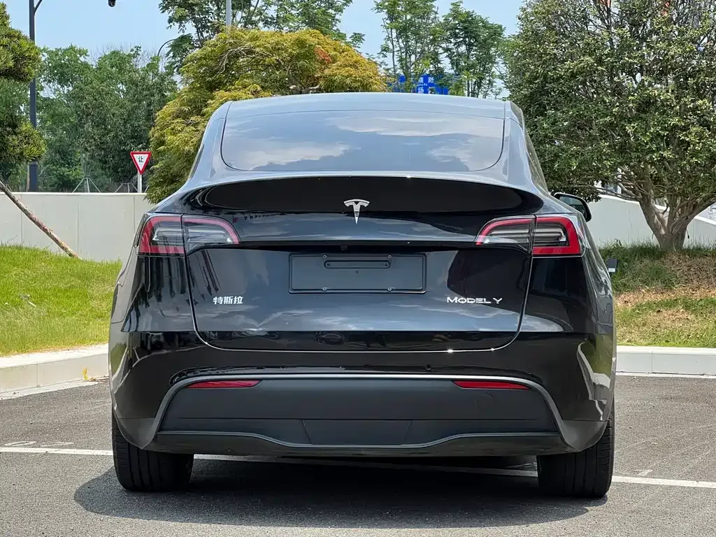 Tesla Model Y — фото 8