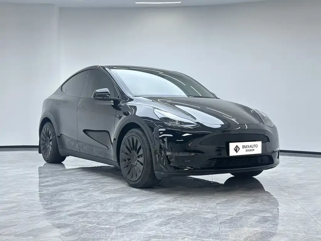 Tesla Model Y — фото 6